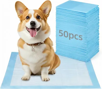 Productafbeelding van Puppyonderleggers 55 x 85 cm, 50 stuks, 6 lagen, voor binnen
