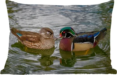 Produktbild von MuchoWow® Outdoor Kissen - Ente - Vögel - Wasser - Federn - Tiere - 50x30 cm - Wetterfest - Lounge Kissen - Sofa kissen - Wohnzimmer Dekoration