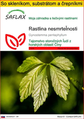 Obrázok produktu pre SAFLAX Kultivačný set - rastlina nesmrteľnosti - Gynostemma pentaphyllum - 30 Semená - S mini skleníkom, pestovateľským substrátom a 2 črepníkmi