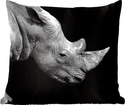 Produktbild von MuchoWow® Zierkissen Sofakissen Wohnzimmer Dekokissen 45x45 cm Portrait Nashorn auf schwarzem Hintergrund - Schlafpolster - Polster für das Sofa