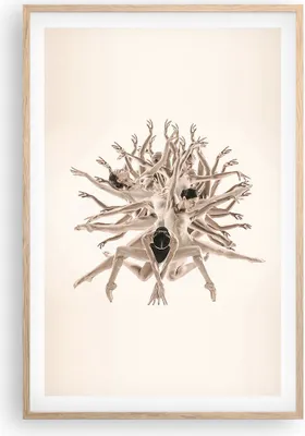 Produktbild von Gerahmtes Poster - Rahmen in heller Eiche - Modern Stück Ballett - 61x91,5 cm - Wand Bild - Wanddeko - Wandbilder - Kunstposter - Wandposter - Bilderrahmen - Bilder - Kunstdruck - P2NPA61x91-4636