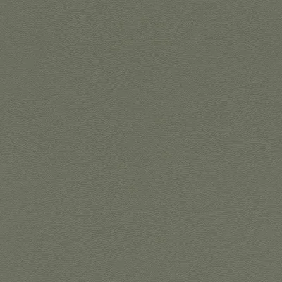 Zdjęcie produktu dla Tapeta flizelinowa 752687 Jednokolorowa tapeta gładka 53 x 1005 cm Rasch African Queen III Green