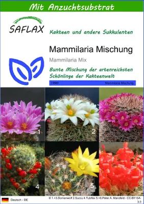Produktbild von SAFLAX - Mammilaria Mischung - Mammilaria Mix - 40 Samen - Mit keimfreiem Anzuchtsubstrat