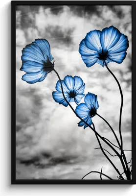 Produktbild von MuchoWow® MuchoWow® Gerahmtes Poster Blumen - Blau - Schwarz - Weiß 60x90 cm - Poster mit zchwarzem Bilderrahmen - Kunst