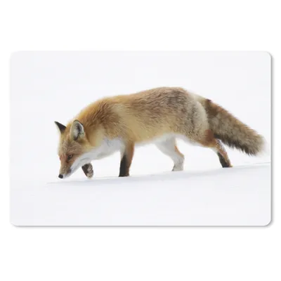 Produktbild von MuchoWow® Schreibtischunterlage Fuchs - Schnee - Weiß 60x40 cm - XXL Mauspad - Großes Mauspad