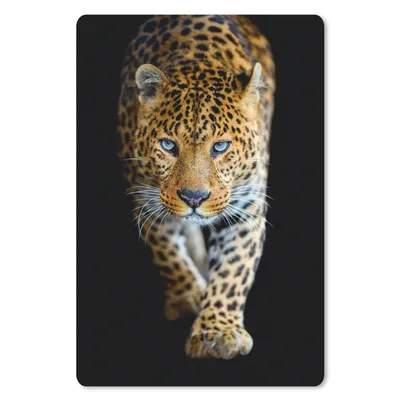 Produktbild von MuchoWow® Mauspad Mousepad Leopard - Tiere - Porträt - Wildtiere - Schwarz 40x60 cm - Mousepads - Maus Mat - Pad - Mausunterlage - Schreibtisch Accesoire