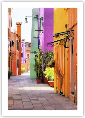 Produktbild von Poster - Poster ohne Rahmen - Sommer Straße Haus - 50x70 cm - Wand Bild - Wanddeko - Wandbilder - Kunstposter - Wandposter - Bilder - Kunstdruck - Wanddekoration - Wandbild - P2XPA50x70-3583
