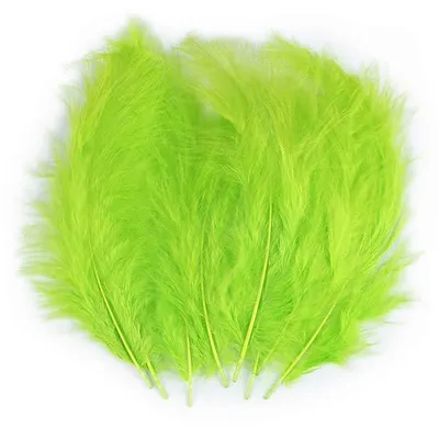 Image de Plumes décoratives d'autruche citron vert 9-16cm