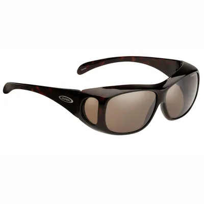 Produktbild von Alpina Overview Sportbrille Farbe: Braun