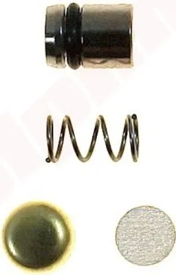 Image de Jeu de pistons de pompe Pour Zama ( 1123 120 9700 , S053001 )
