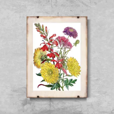 Produktbild von Poster - Canvas - Leinwand - 21 cm x 29,7 cm - Fotoposter - Leinwandkunst - Herbst-Blumendruck