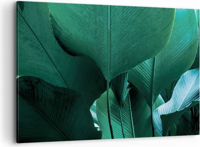 Produktbild von Bild auf Leinwand - Leinwandbild - Einteilig - Blätter Palmen Banane - 100x70cm - Wand Bild - Wanddeko - Wandbilder - Leinwanddruck - Bilder - Wanddekoration - Leinwand bilder - AA100x70-4694