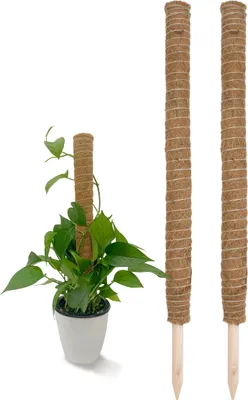 Immagine prodotto di Supporto per arrampicata in cocco - 2 pezzi / 80 cm - Bastone per arrampicata (80 cm / 2 pezzi)
