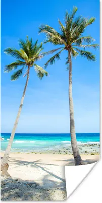Produktbild von MuchoWow® Poster Palme - Sommer - Tropisch 40x80 cm - Dekoration