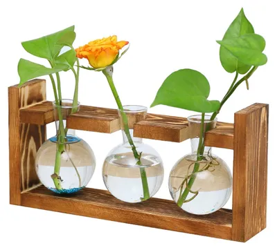 Pflanzenterrarium aus Glas mit Holzständer, U-Form