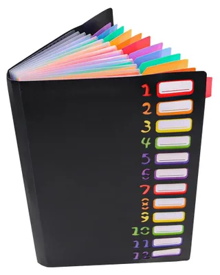Immagine prodotto di Solidchoice - Cartella portadocumenti A4 con 12 scomparti, ideale per l'ufficio e la scuola