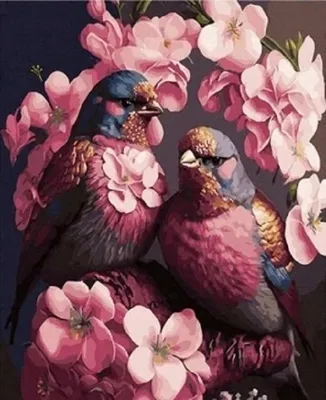 Produktbild von Malen nach Zahlen, 50x40 cm, kreatives Bild mit Rahmen, Vögel in Blumen