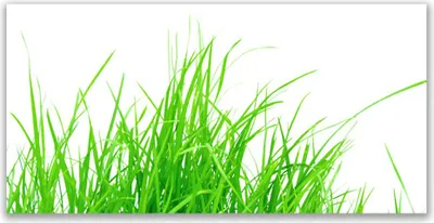 Produktbild von Tulup Leinwand-Bilder 140x70 Wandbild Canvas Kunstdruck Gras Pflanzen