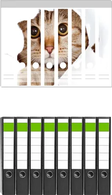 Produktbild von Wallario 8 Stück schmale Ordner inkl. Klebeetiketten mit Motive Katze mit Blick nach vorn -  Set mit Rückenschildern / Ordnerrücken Stickern