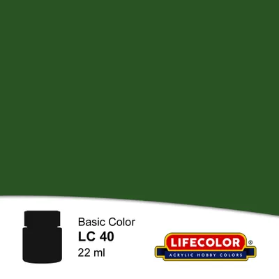 Productafbeelding van Matt Drachengrün 22 ml. Acrylverf van Lifecolor