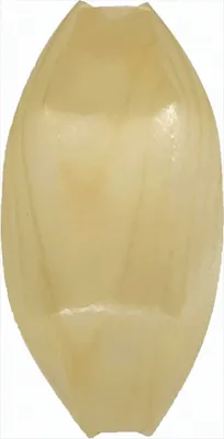 Produktbild von Holz Servierschalen Schiffchen 15 cm 25 Stück 100% natürliches Produkt