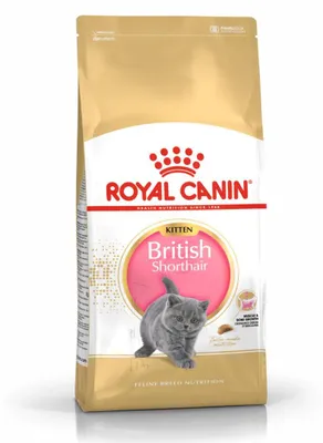 Zdjęcie produktu dla Royal Canin FBN British Shorthair Kitten 10kg Karma Sucha Dla Kociąt Do 12 Miesiąca Rasy Brytyjski Krótkowłosy