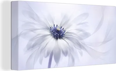 Produktbild von MuchoWow® - Leinwandbilder - Blume - Abstrakt - Weiß, Wandbild, Wanddeko Bilder Wohnzimmer, 40x20 cm