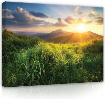 Obrázok produktu pre Quest ,