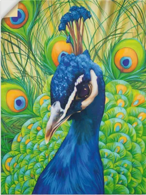 Produktbild von ARTland Wandbild, selbstklebend Pfau Größe: 45x60 cm