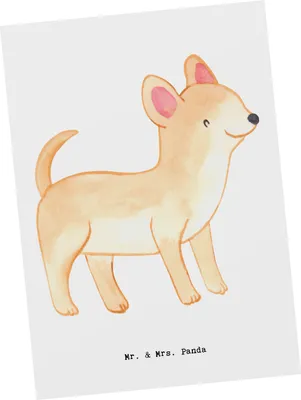 Produktbild von Mr. & Mrs. Panda Postkarte Chihuahua Lebensretter - Weiß - Geschenk, Fotokarte, Ansichtskarten, Grußkarte, Ansichtskarte, Postkarten
