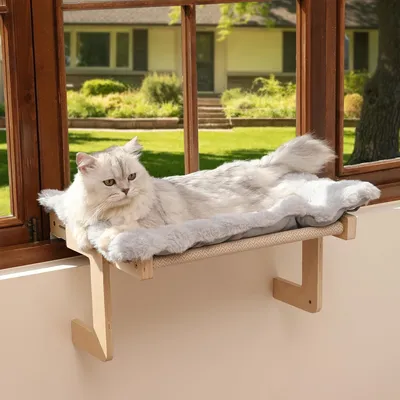 Image de Hamac pour chat à fixer à la fenêtre, avec coussin en peluche, idéal pour les chatons - Structure renforcée en bois et en métal