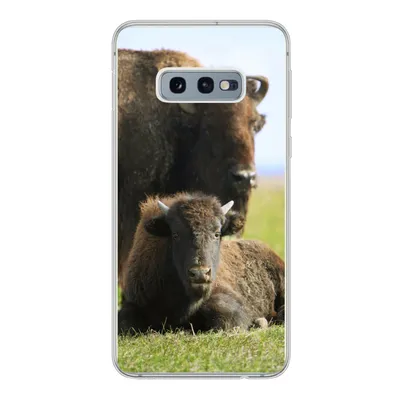 Produktbild von MuchoWow® Handyhülle Schutzhülle Hülle für Samsung Galaxy S10e Büffel - Gras - Kalb Silikon Softcase Handy Hülle - Handy