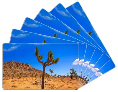 Produktbild von Wallario Frühstücksbrettchen 6er Set aus Glas, je 14 x 23 cm, mit rutschfesten Füßen, Motiv Palmlilie im Nationalpark Yucca Valley  Wüstenlandschaft