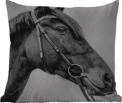 Produktbild von MuchoWow® Outdoor Kissen - Pferd - Halfter - Porträt - 50x50 cm - Wetterfest - Lounge Kissen - Komfortabel - Kissen mit Bild