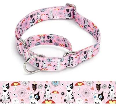 Zdjęcie produktu dla Obroża dla psa typu Martingale, wykonana z nylonu, regulowana, rozmiar L: 45–53 cm, model A85NO12