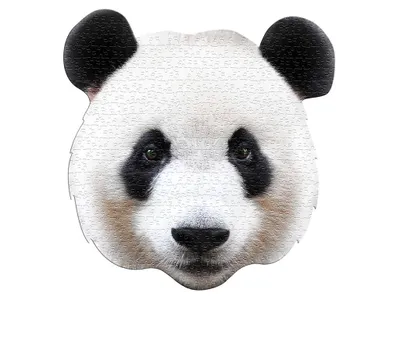 Immagine prodotto di Puzzle - Já jsem Panda - 550el