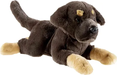 A stuffed toy dog lying down on a white background.