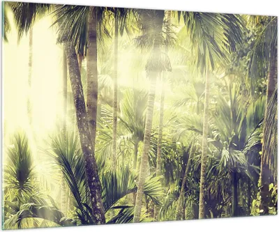 Produktbild von Bilder auf glas - Einteilig - Morgendämmerung Dschungel Palmen - 100x70cm - Glasbilder - Wandbilder - Bilder - Wanddekoration aus Glas - Glas Bilder - Wandbild auf Glas - GAA100x70-4450