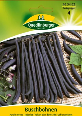 Produktbild von Buschbohnen Purple Teepee