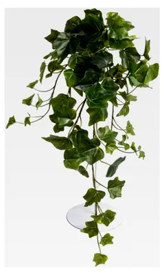 Produktbild von künstlicher Efeu Hängebusch, Kunstpflanze ca. 50 cm lang, Farbe: grün