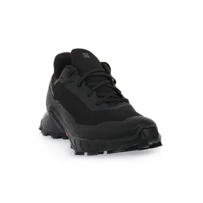 Produktbild von Salomon Schuhe Alphacross 5 Gtx W, 473109