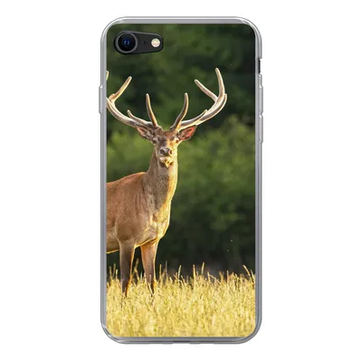 Produktbild von MuchoWow® Handyhülle Schutzhülle Hülle für iPhone SE 2020 Hirsch - Geweih - Gras - Natur - Tiere - Grün Silikon Softcase Handy Hülle - Kartenbesitzer