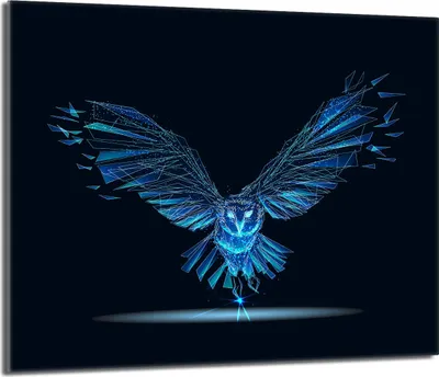 Produktbild von Herdabdeckplatte 60x52 Glaskeramikkochfeld Abdeckung Spritzschutz Glasplatte Deko Schneidebrett, Vogel Schwarz