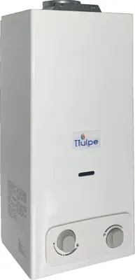 Produktbild von Gas Durchlauferhitzer innen B6 P50 Eco