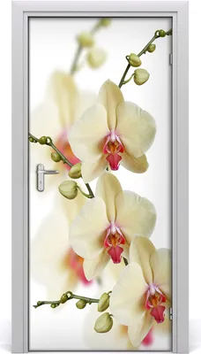 Produktbild von Tulup Türaufkleber 95x205 cm Dekorative Aufkleber Selbstklebend Wasserdichte Tapete Abnehmbar Schlafzimmer Wohnzimmer Wohnkultur - Orchidee Wand