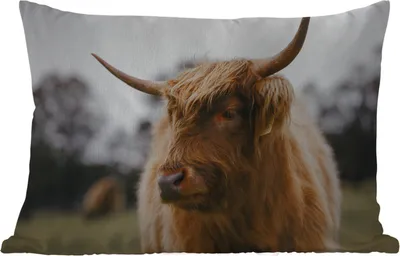 Produktbild von MuchoWow® Outdoor Kissen - Schottisches Hochlandrind - Tiere - Hörner - 60x40 cm - Wetterfest - Lounge Kissen - Zierkissen - Kissen für Innenräume