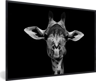 Produktbild von MuchoWow® Gerahmtes Poster Giraffe - Tiere - Porträt - Schwarz 90x60 cm - Poster mit Schwarzem Bilderrahmen Wandposter Rahmen Foto Bilder - Fotorahmen - Foto-Plakat