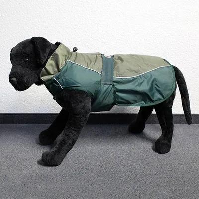 Produktbild von Hundemantel Eisbär · Classic Coat Olive-Grün Rückenlänge ca. 100cm