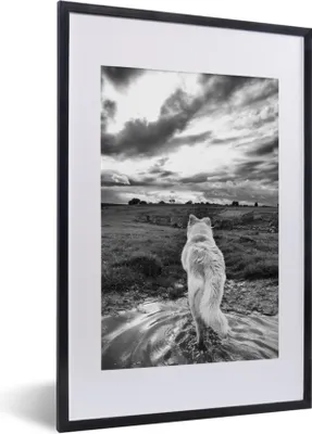 Produktbild von MuchoWow® MuchoWow® Gerahmtes Poster Wolf mit Blick auf die Landschaft in Schwarz und Weiß 40x60 cm - Poster mit zchwarzem Bilderrahmen - Poster in Rahmen