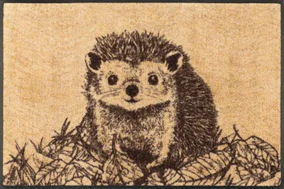 Produktbild von Fußmatte Igel 50x75cm